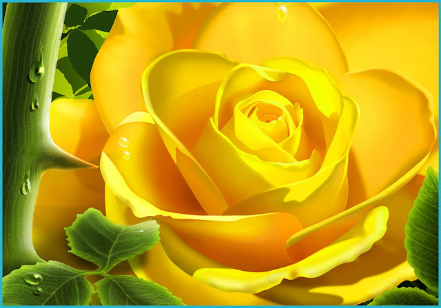 Hum aapke hain koun hindi movie salman khan madhuri Images of yellow roses with quotes